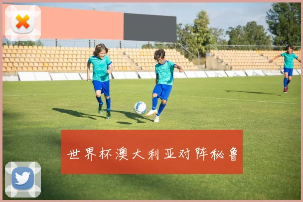 世界杯澳大利亚对阵秘鲁