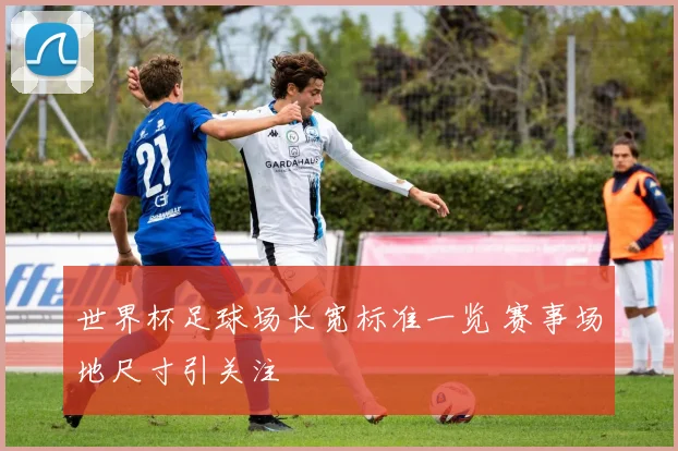 世界杯足球场长宽标准一览 赛事场地尺寸引关注